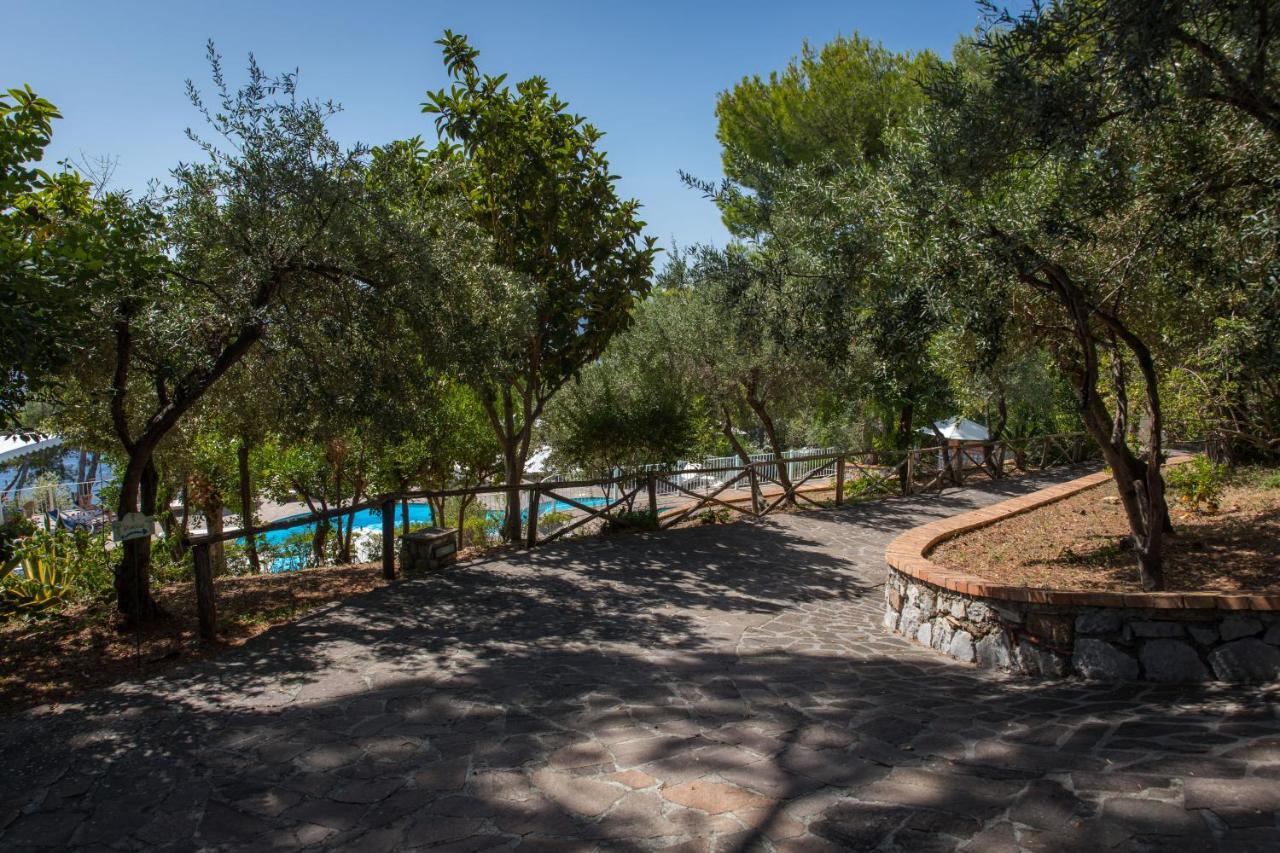 Hotel Villa Delle Meraviglie Maratea Dış mekan fotoğraf